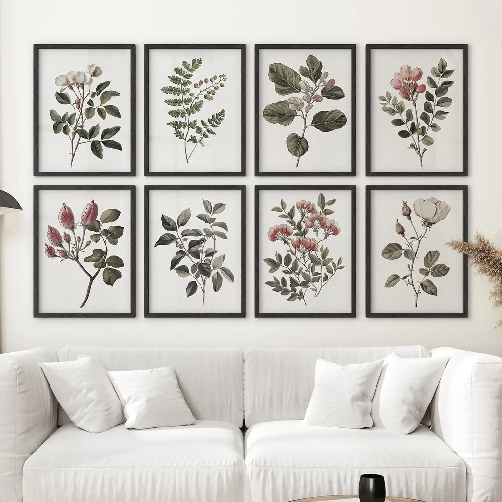 Antique Botanical set of 8 Prints. White Rose Wall Art