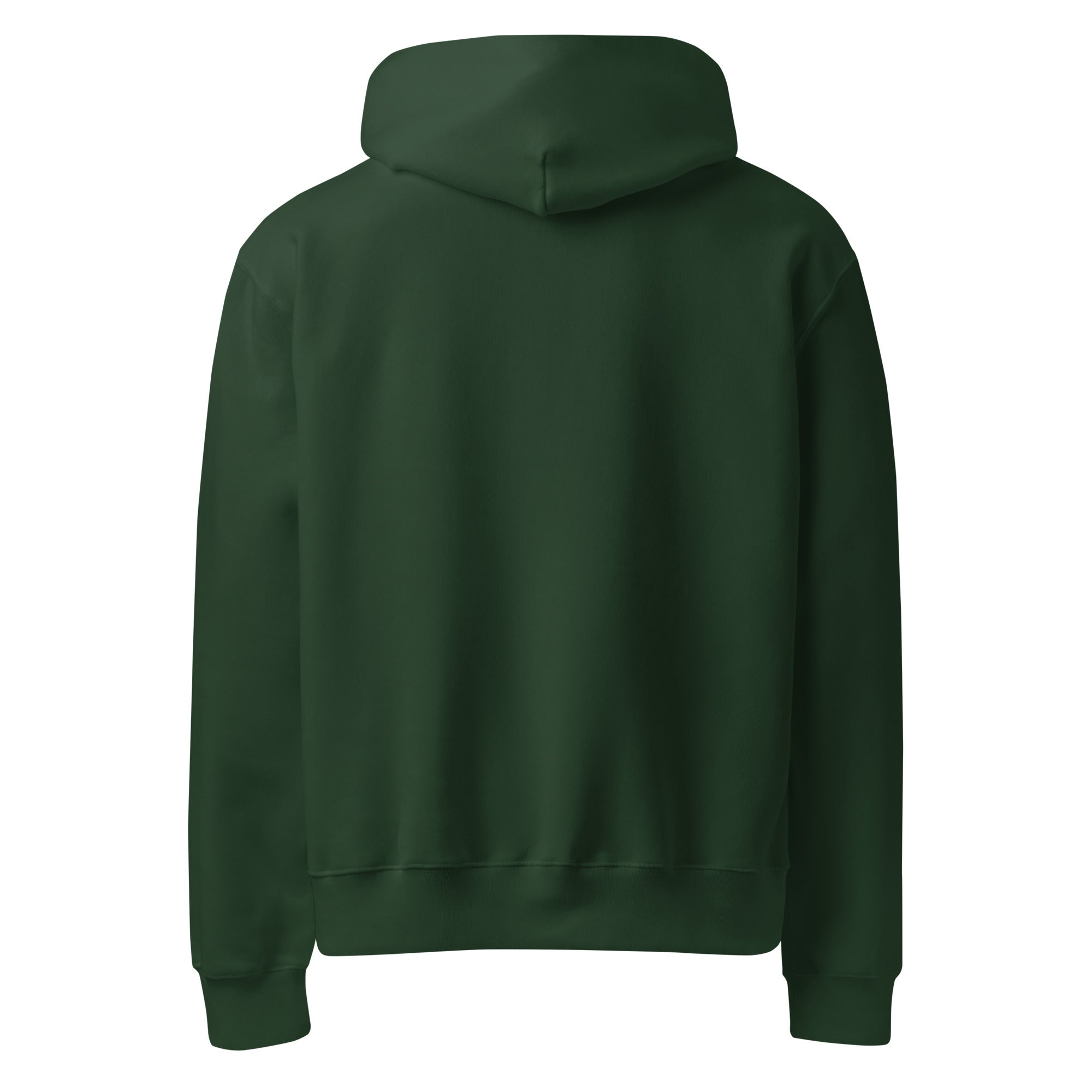 Divine Spiral Oversized Heavyweight Hoodie