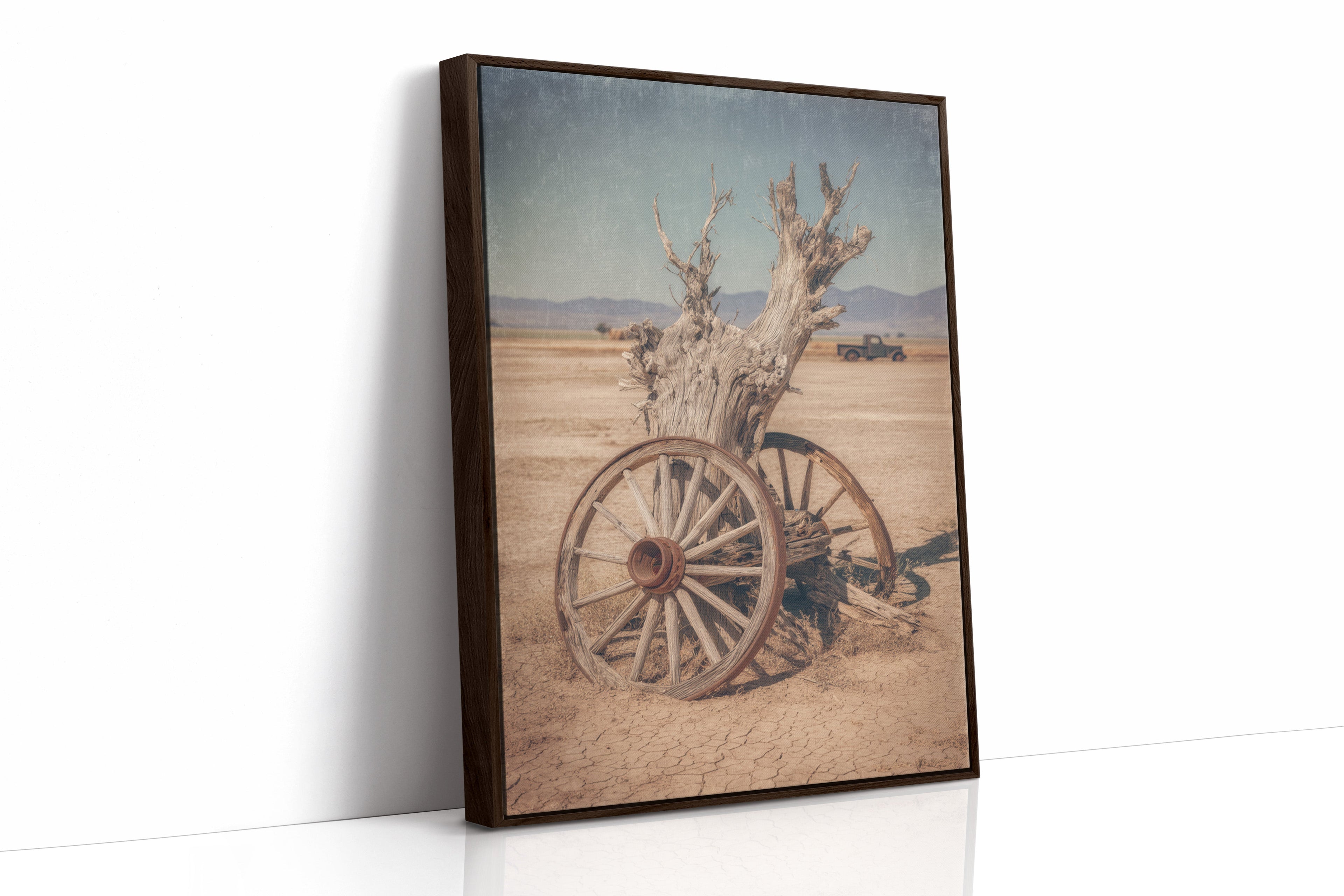 Roots of Forgotten Journeys